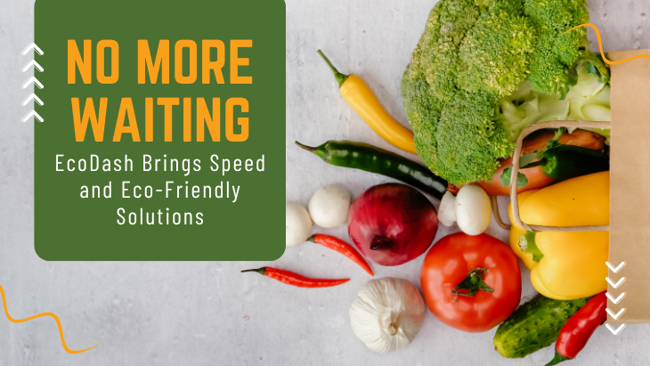 No More Waiting: EcoDash Brings Speed and Eco-Friendly Solutions